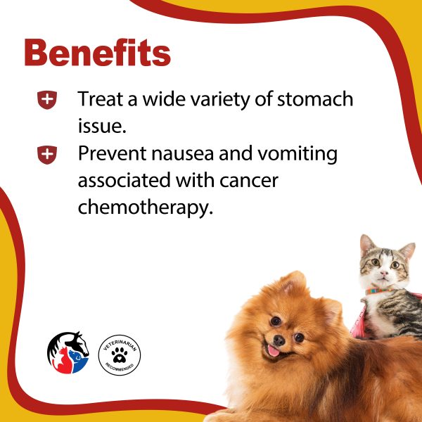 ANIMAL SCIENCE Anti-Diarrhea Liquid - Image 2