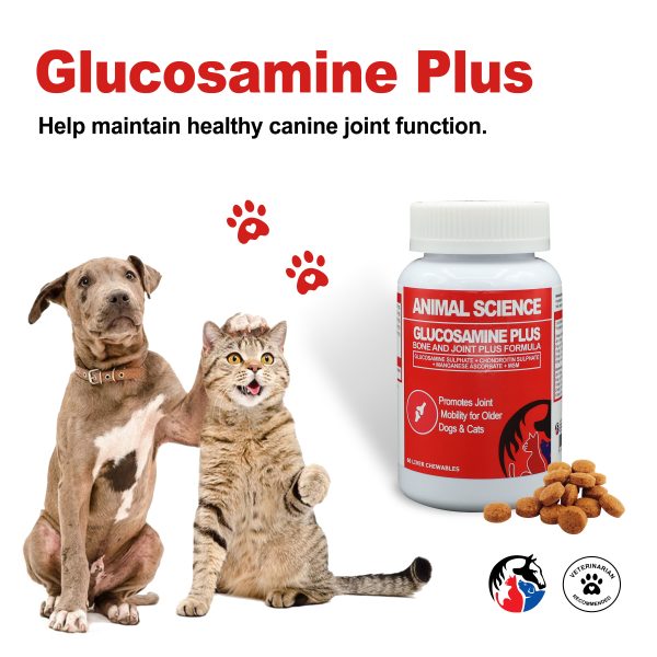 ANIMAL SCIENCE Glucosamine Plus - Image 3