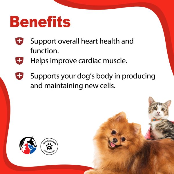 ANIMAL SCIENCE Healthy Heart - Image 2
