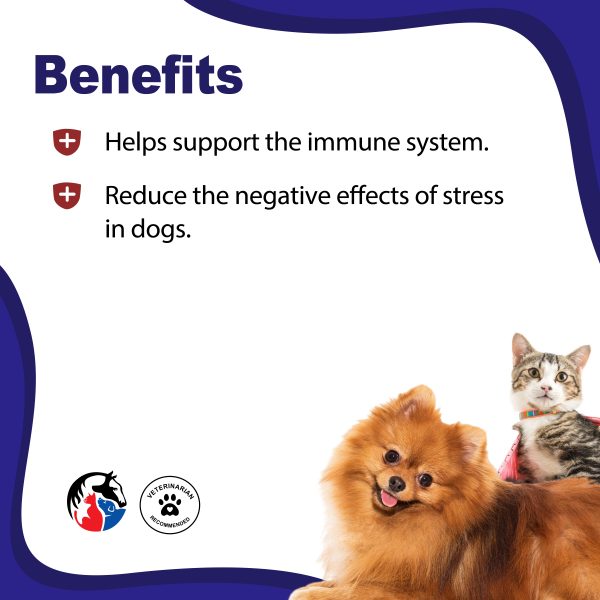 ANIMAL SCIENCE Immune Health - Image 2