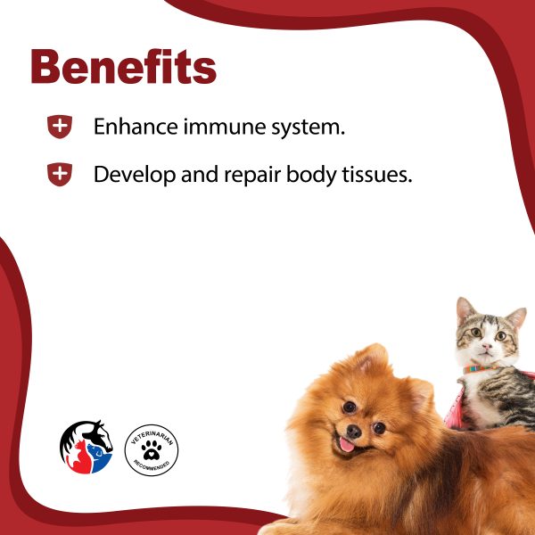 ANIMAL SCIENCE K9 Cal-C Syrup - Image 2