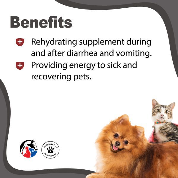 ANIMAL SCIENCE K9 Dextrose Powder - Image 2