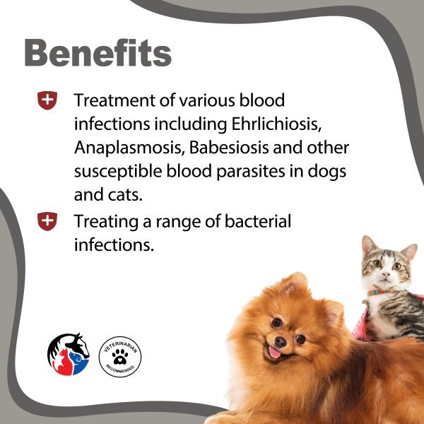 ANIMAL SCIENCE K9 Doxy Syrup - Image 2