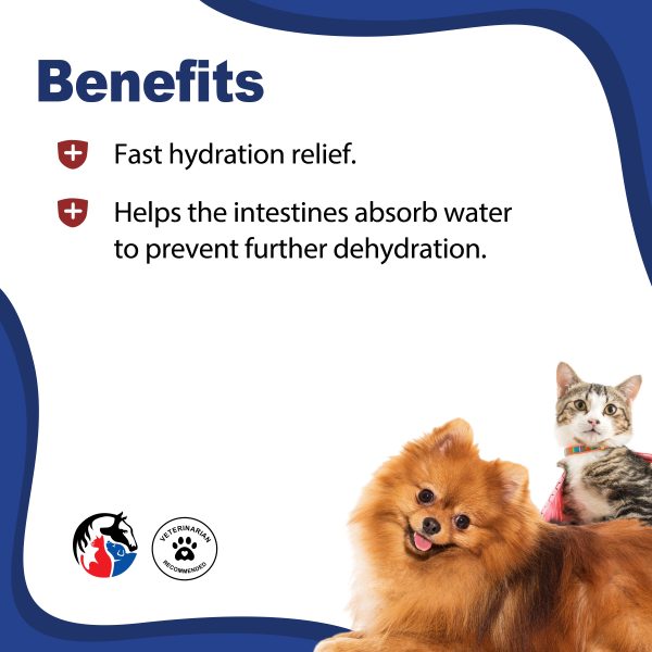 ANIMAL SCIENCE K9 Hydrate Powder - Image 2