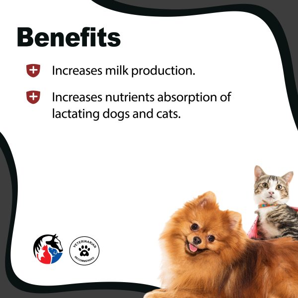 ANIMAL SCIENCE K9 Lactaboost Syrup - Image 2