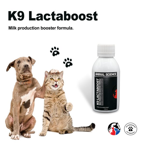 ANIMAL SCIENCE K9 Lactaboost Syrup - Image 3