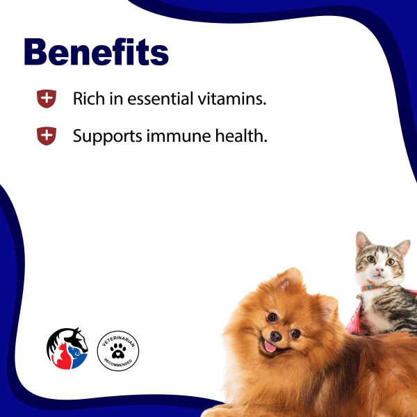 ANIMAL SCIENCE K9 Multivit Syrup - Image 2