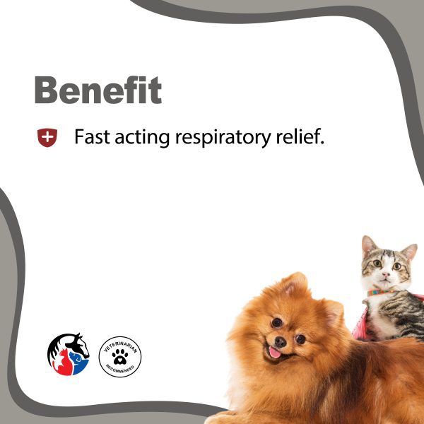 ANIMAL SCIENCE K9 Respiratory Elixir Syrup - Image 2
