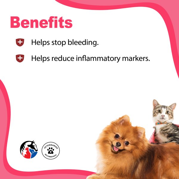 ANIMAL SCIENCE Styptic Powder - Image 2