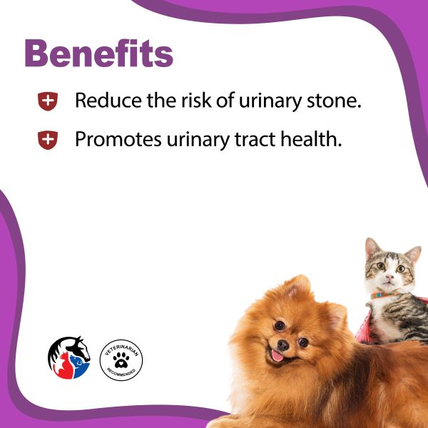 ANIMAL SCIENCE Uri-Aid Paw Gel for Cats - Image 2