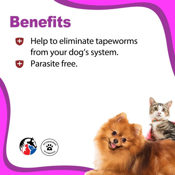 ANIMAL SCIENCE Wormrid Tablet - Image 2