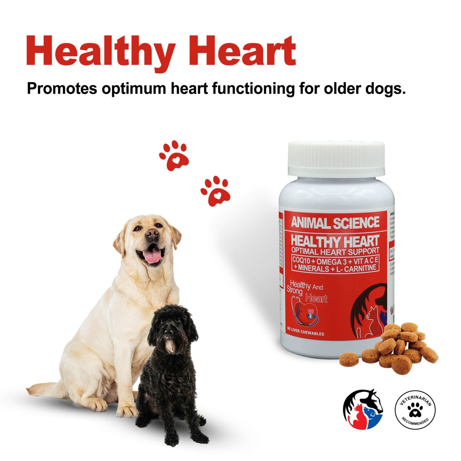 jarrow l carnitine liquid Stella's Solutions Healthy Heart Support